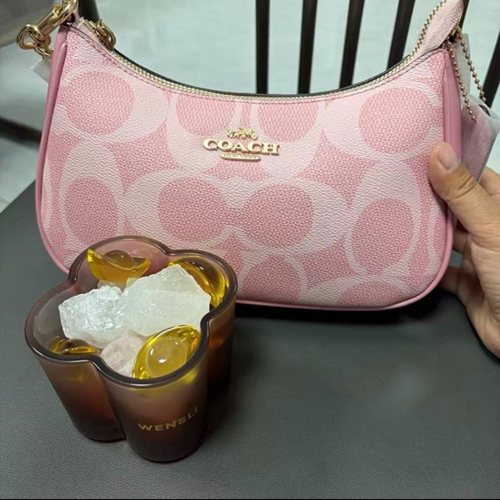 ✨ Brand New Coach Pink Signature Shoulder Bag ✨